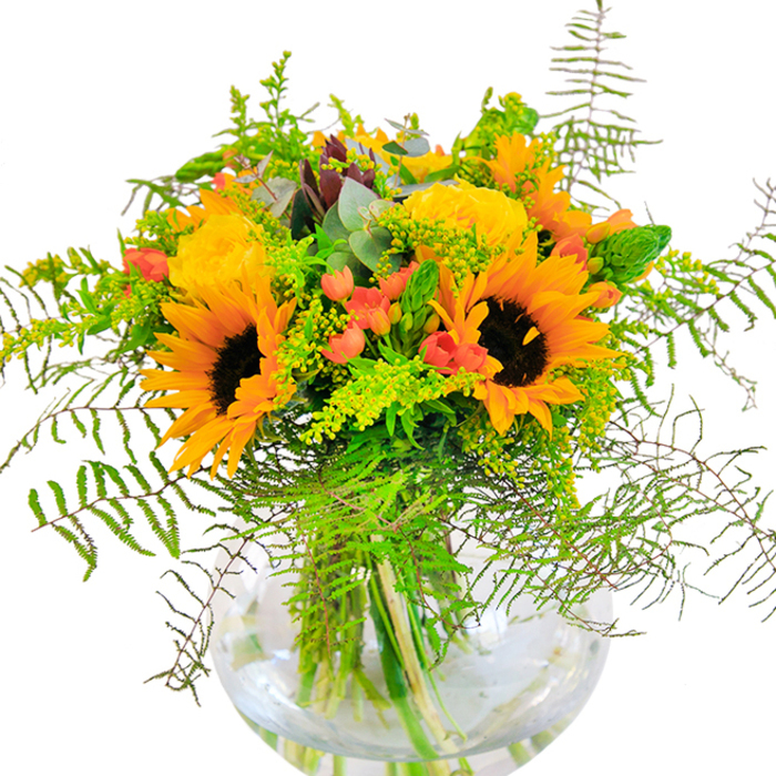 From the first glance, this bouquet exudes the essence of a sun-filled afternoon in Chessington: sunflowers radiating positivity with gold-edged petals, clustered together as if sharing secrets beneath a blue summer sky. Their bold faces are softened by the gentle, spiral forms of yellow garden roses, whose plush petals invite closer inspection, echoing the layered depths of local Chessington woodland blooms. Scattered amidst the softness, vivid red Hypericum berries gleam-each one a sparkling contrast amid the wave of yellow, much like a patch of wild berries glimpsed along Mansfield Park footpaths. Cascading greenery and feathery fern fronds drape around the arrangement, giving it movement and natural grace, while silvery eucalyptus and sprays of delicate solidago fill in the layers with softness and complexity. The clear glass vase is like a window onto the stems, capturing the interplay of water and foliage and enhancing the brightness of the arrangement. The composition feels at home against a crisp white background, amplifying each shade and texture, almost inviting one to lean in and sense the fresh-cut fragrance wafting through. Crafted by a local Chessington florist, this bouquet is ideal for uplifting celebrations-be it a birthday, congratulatory milestone, or simply to bring the cheerful spirit of Chessington indoors.