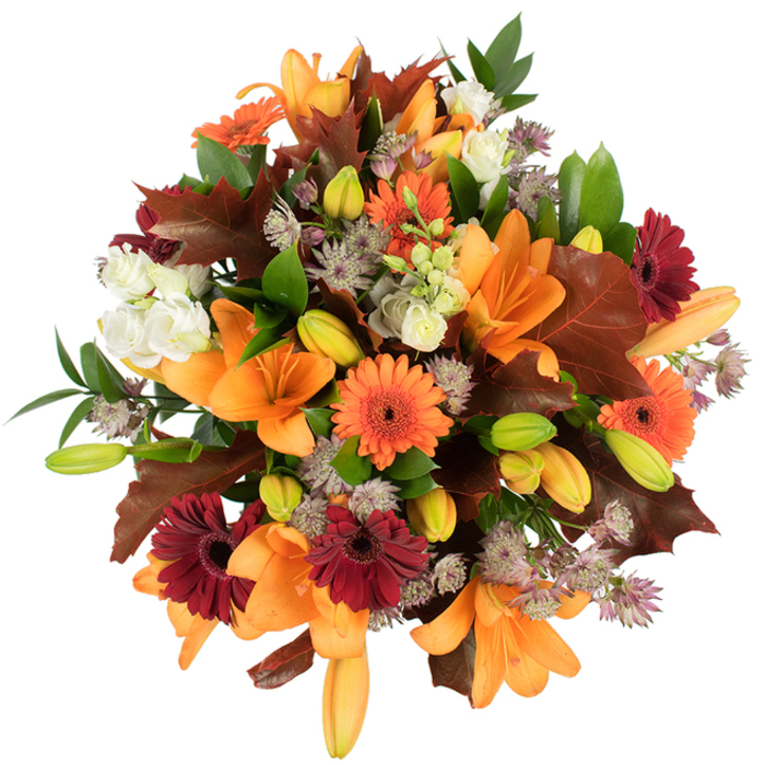 A richly composed, overhead view of an autumnal bouquet that feels both abundant and carefully crafted by hand. Dominating the scene are several fully bloomed orange Asiatic lilies, their broad, trumpet-like petals glossy and slightly recurved, each one commanding attention with warm, saturated colour. Around them, a delightful variety of Gerbera daisies-brilliant orange alongside deep burgundy red-form cheerful punctuation marks, their round, ray-like petals creating a friendly rhythm. Nestled among these are soft, creamy lisianthus (or small white roses) whose layered, ruffled petals provide tender contrast, and clusters of purple-grey Astrantia that add an intricate, starry texture like tiny constellations tacked between the larger flowers. The bouquet's architecture is accentuated by pale orange and green lily buds, slender green stems, and generous green foliage that lift and support the blooms. Several large, lobed leaves in reddish-brown and chestnut are artfully woven into the mass, echoing the colours of fallen oak and lending a woodland authenticity to the design. The flowers are tightly gathered into a rounded, lush form and photographed on a crisp white background with bright, even lighting so every nuance of colour and texture reads clearly. As a local florist in Chessington I picture this arrangement brightening a Thanksgiving centrepiece on Leatherhead Road, bringing autumn cheer to a table near Chessington South station, or arriving as a thoughtful gift from Chessington Flowers for a birthday or housewarming. The overall impression is warm, celebratory, and richly seasonal-an ode to harvest-time beauty that feels at home across the borough and into nearby Kingston and Epsom.