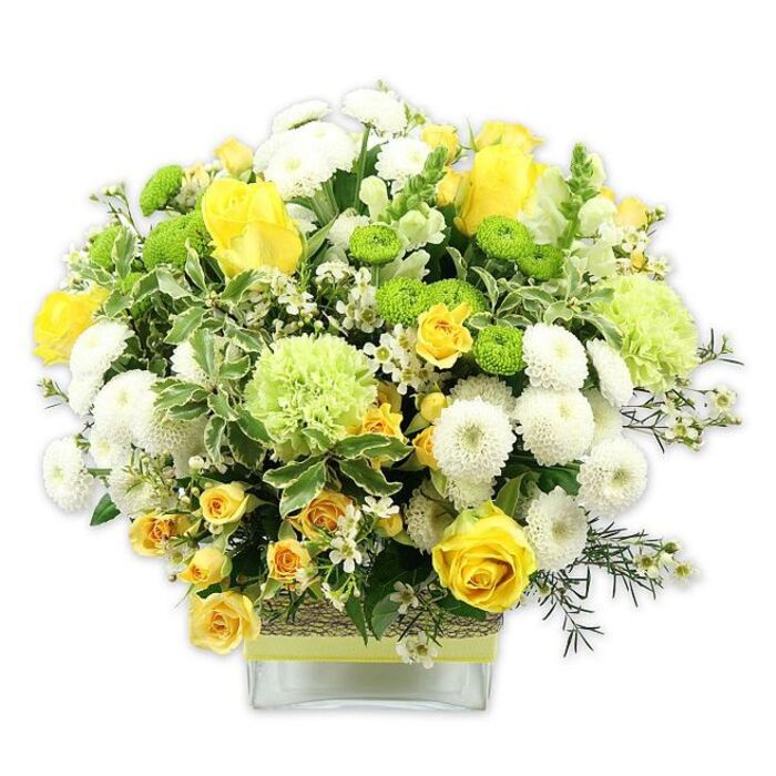 A generously full, rounded bouquet in shades of sunny yellow, crisp white, and refreshing green stands proudly in a low, clear, square glass vase, photographed against a clean white background that accentuates every nuance of colour. At the centre, classic yellow roses unfurl in layered spirals, some open and inviting, others still in graceful bud. They are surrounded by clusters of dainty yellow spray roses, their smaller blooms adding texture and a slightly wild, just-picked-from-the-garden charm. White pompom chrysanthemums, tightly petalled and perfectly spherical, nestle among the roses, echoing the bouquet's domed shape and giving a soft, cushioned look. Bright lime green button chrysanthemums sit like playful dots of colour, while larger, fluffed pale green blooms-resembling frilly carnations or speciality green mums-create a gentle gradient from yellow into green. The flowers are woven through with an array of foliage: broad variegated leaves edged in creamy white, glossy dark greens, and fine, feathery sprigs that add movement and depth. Tiny, starlike white filler flowers are sprinkled throughout so the bouquet feels intricate and thoughtfully composed, much like a bespoke piece from a seasoned local florist in Chessington. The square glass vase reveals the stems gathered with precision, and its midsection is wrapped with a textured band of natural fibre or bark, over which a lime green ribbon is tied horizontally, echoing the fresh, zesty greens of the blooms. The overall mood is joyful yet calm, ideal as a celebratory centerpiece for a family table off Leatherhead Road, a bright welcome on a reception desk, or a warm message of congratulations delivered locally.