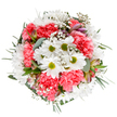 A radiant celebration of Chessington's springtime charm, this luxurious bouquet brings together an uplifting palette and playful textures-perfect for sharing joy or marking cherished occasions within the local area. At its centre, crisp white daisies with lively green cores beam like morning sunshine over Chessington Hill Park, surrounded by ruffled coral-pink carnations that ripple through the design in soft, inviting waves. Wispy baby's breath floats gently around the main blooms, its airy touch reminiscent of a light breeze across local gardens. Subtle accents of alstroemeria, their slender buds painted in soft mauve and pink, nestle amid the mass of flowering stems, each one promising future beauty. Eucalyptus leaves in shimmering silver and deep emerald-green sprigs encircle the bouquet, offering support and a verdant freshness that lingers in the air. Designed by Chessington's expert florists, the composition feels intentionally abundant, its harmonious curves and layered textures echoing the optimism and care of the community. Whether gracing a family table, celebrating a milestone at a North Parade business, or arriving as a surprise delivery to a loved one across Chessington, this bouquet radiates calm, encouragement, and the hopefulness of spring in full bloom.